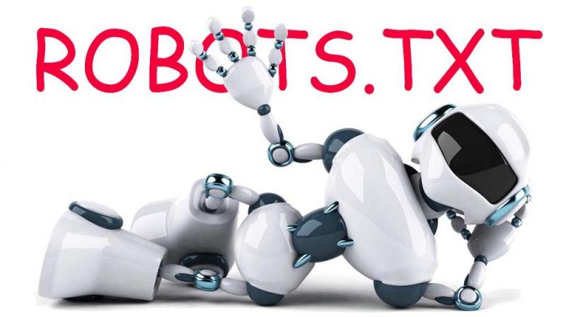 Что такое robots.txt и зачем он нужен в Иваново